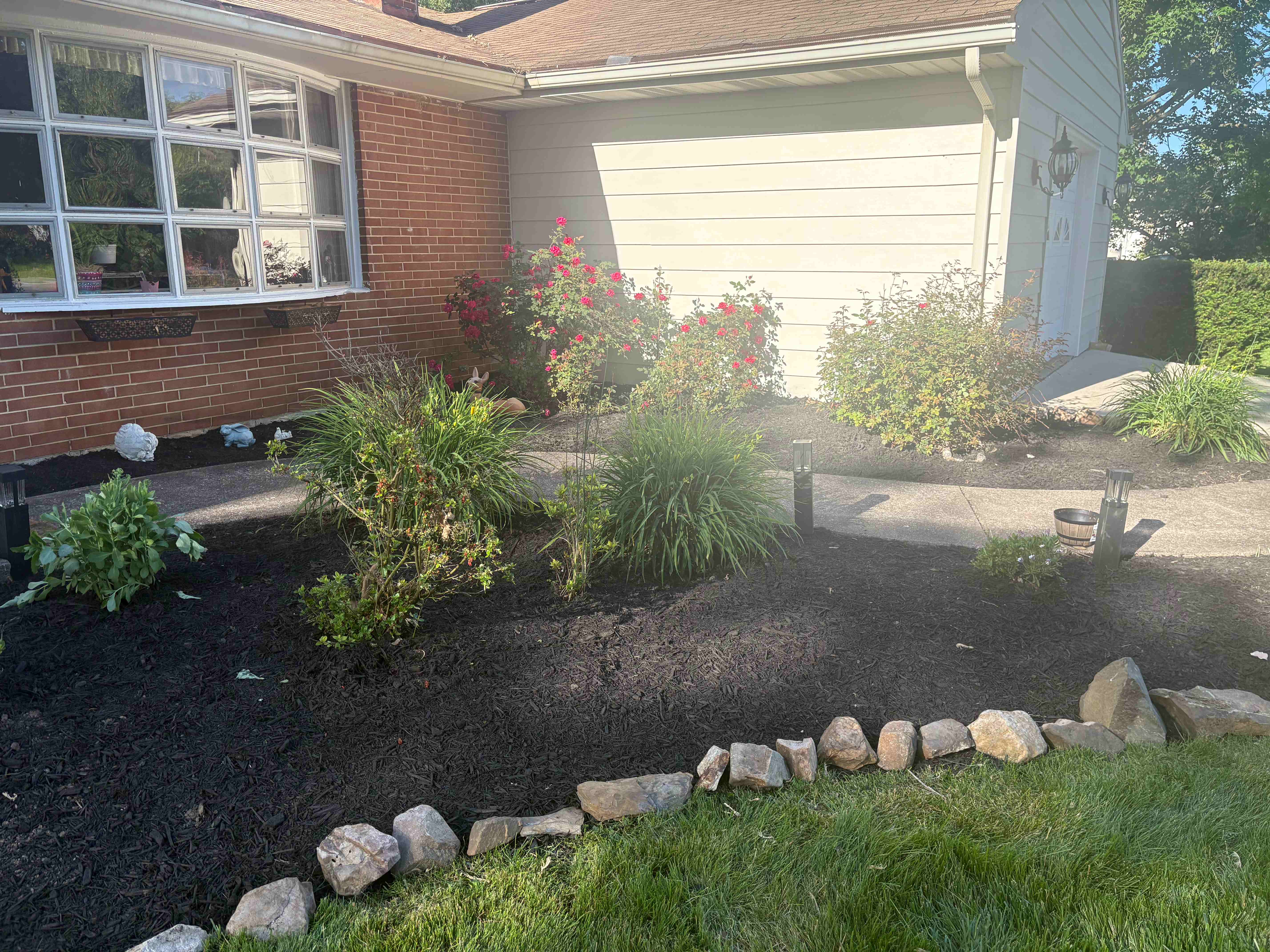After: Front beds cleared, edged, and finished with fresh dark mulch