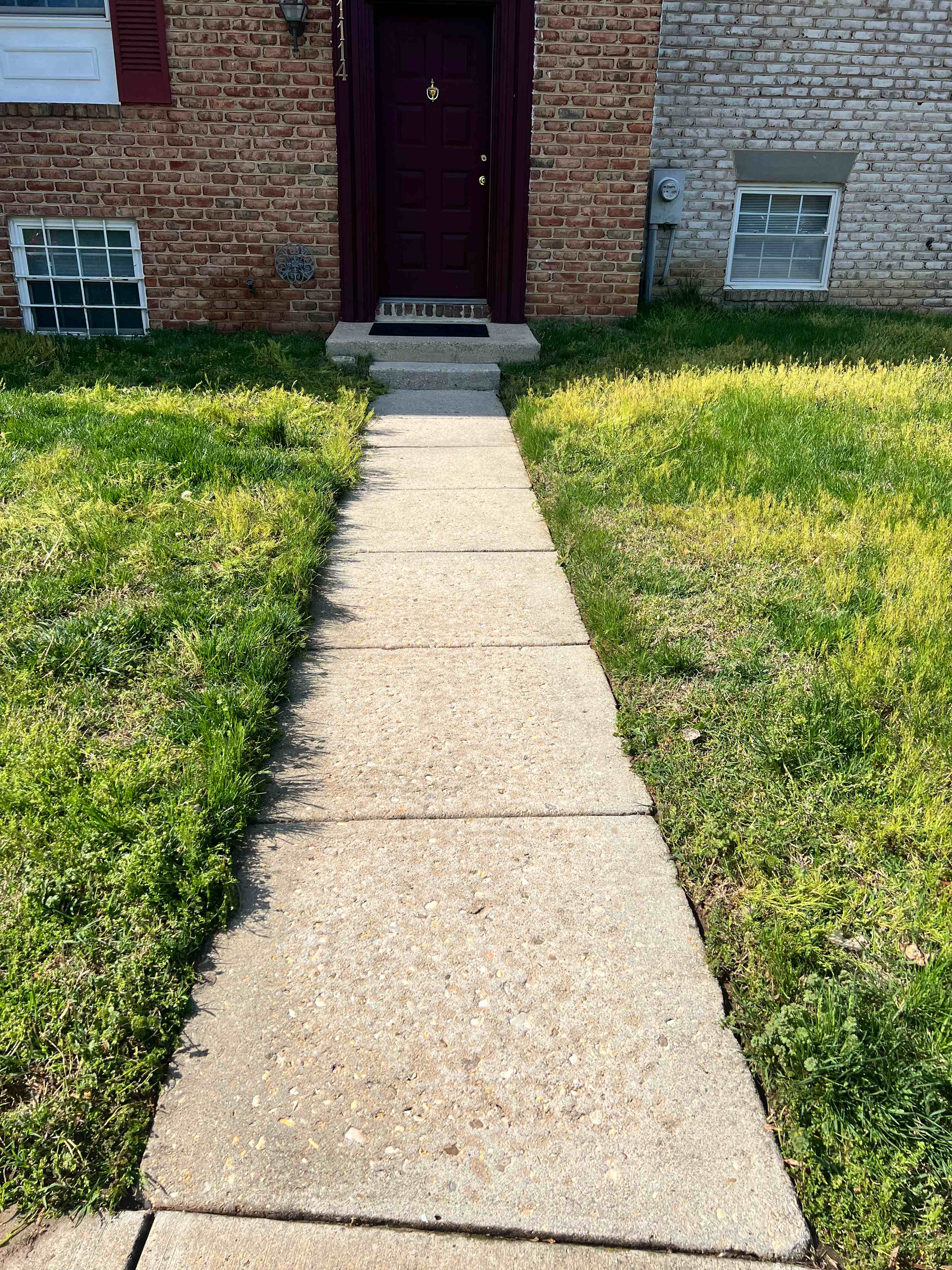 After: Overgrown walkway edged and cleaned for a crisp, defined finish