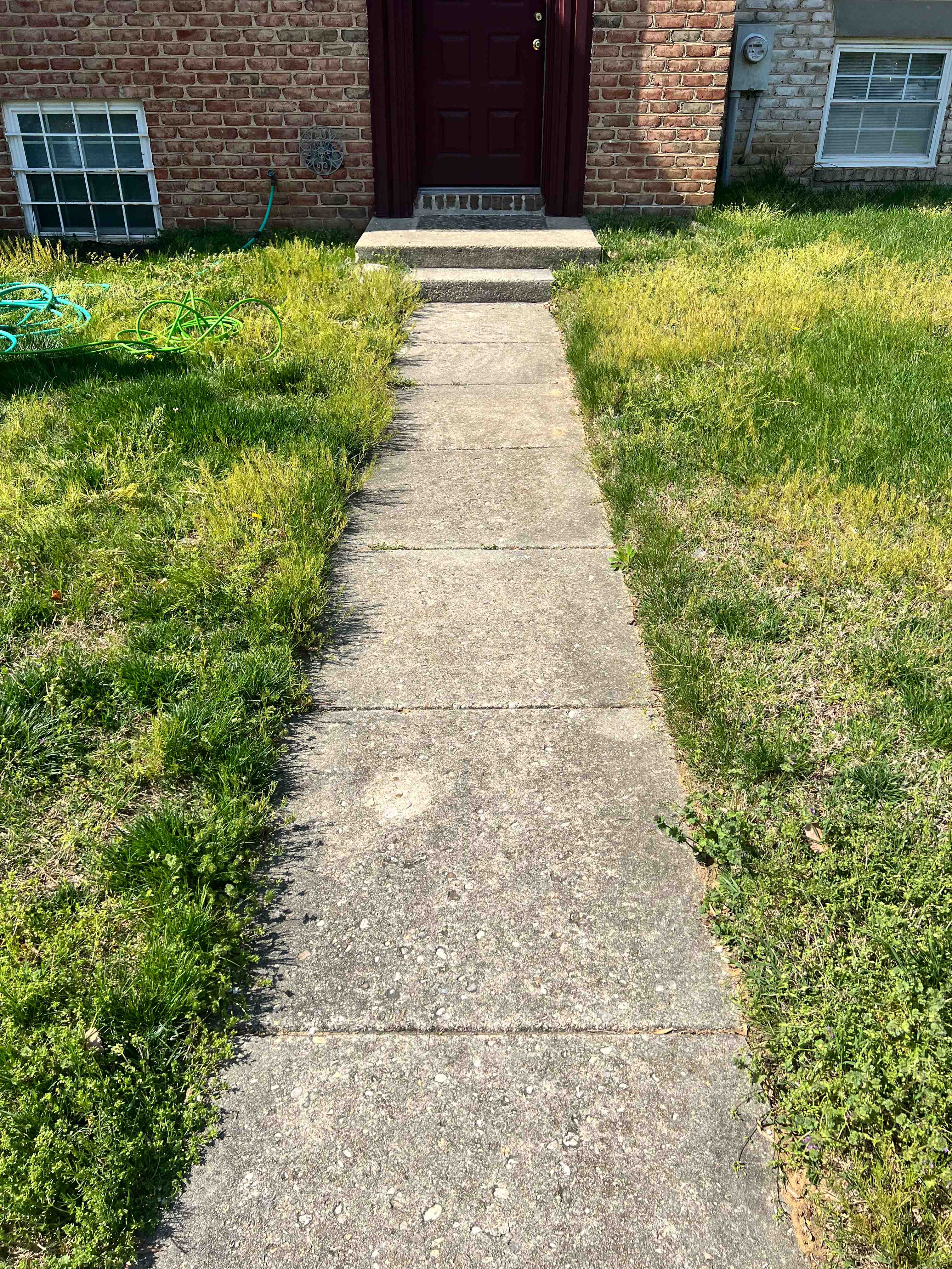 Before: Overgrown walkway edged and cleaned for a crisp, defined finish