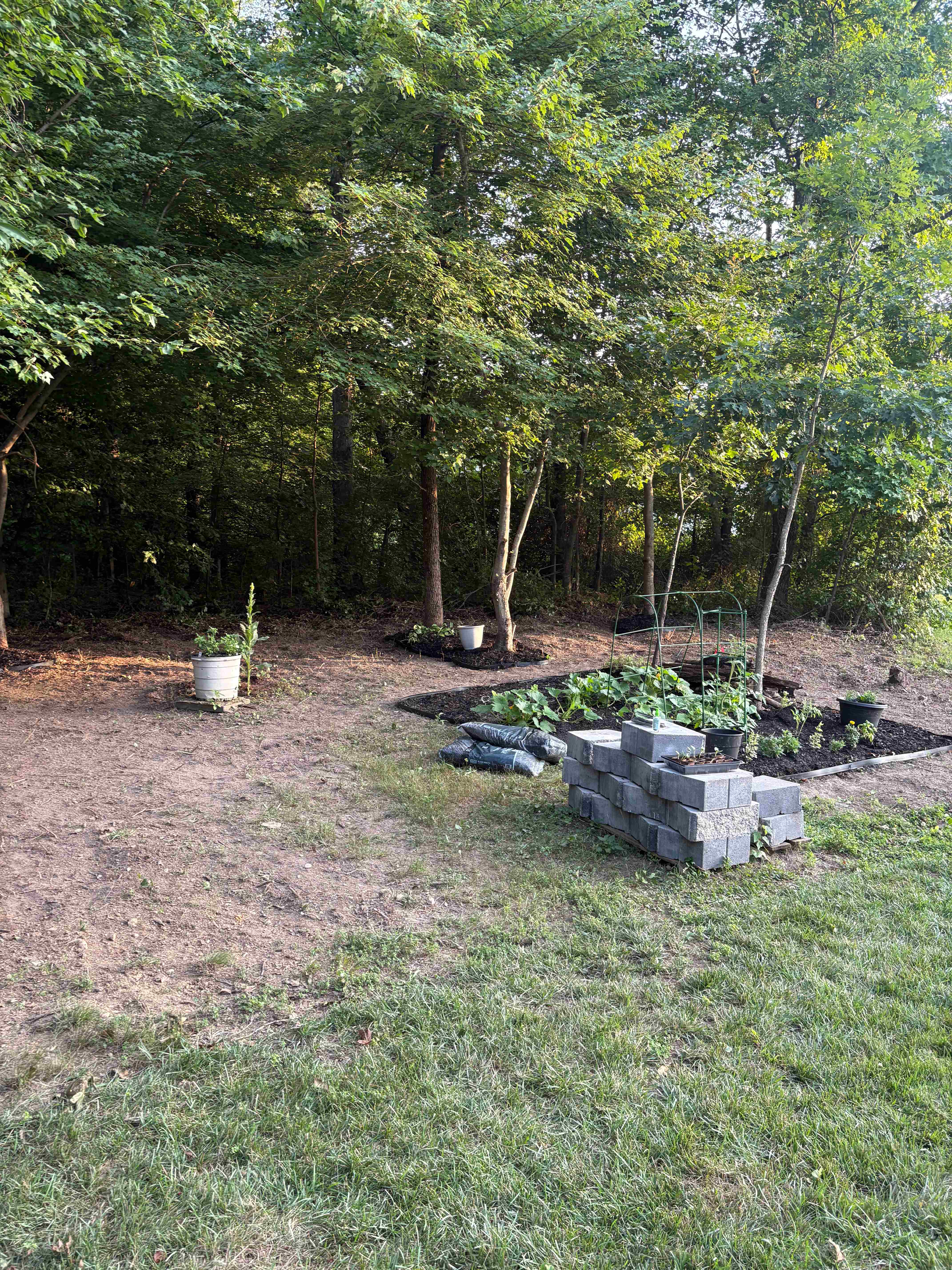 After: Overgrown lot cleared and transformed into a clean garden space